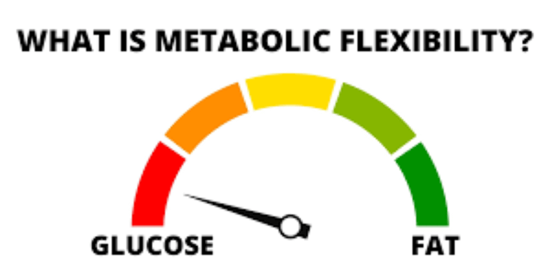 Metabolic Flexibility