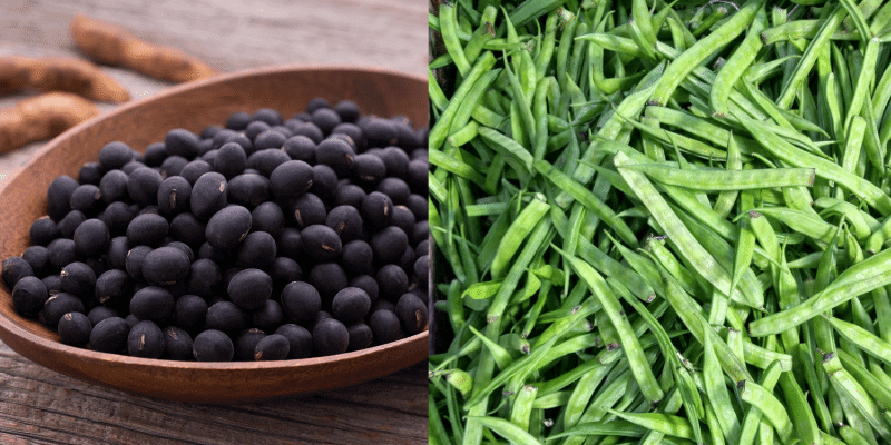 Black soybeans & green beans