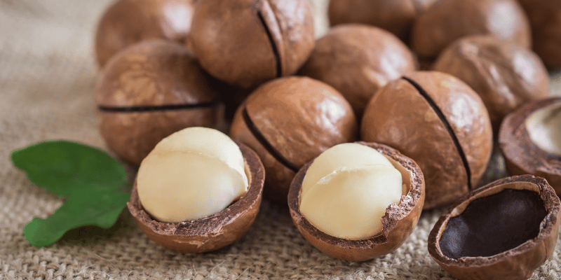 Macadamia Nuts