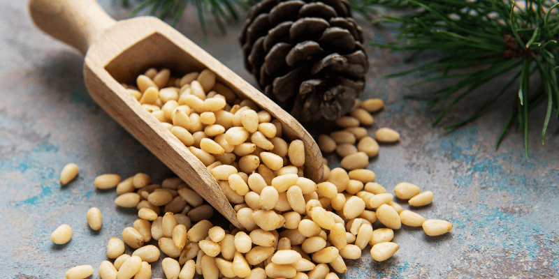 Pine Nuts