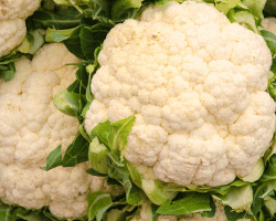 cauliflower