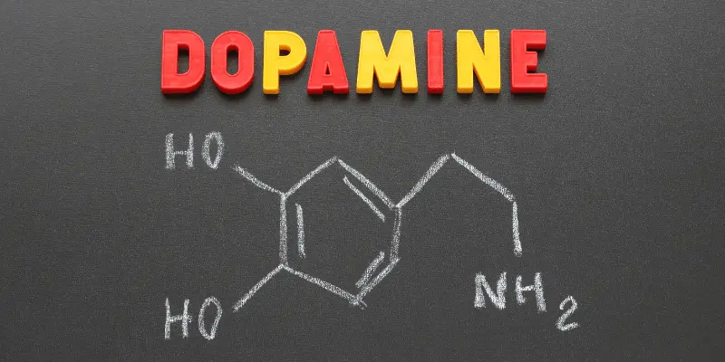 Ketosis increase Dopamine