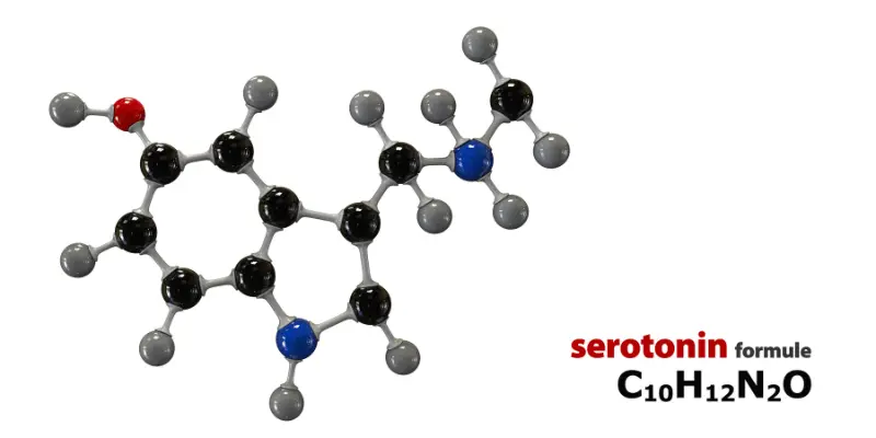 Serotonin Formula