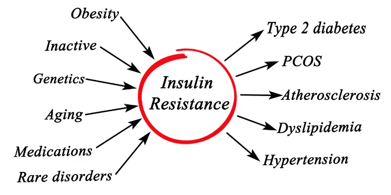 Lifestyle Tips to Reduce Insulin Resistance